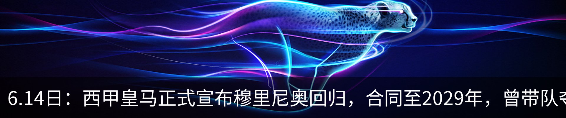 新闻动态